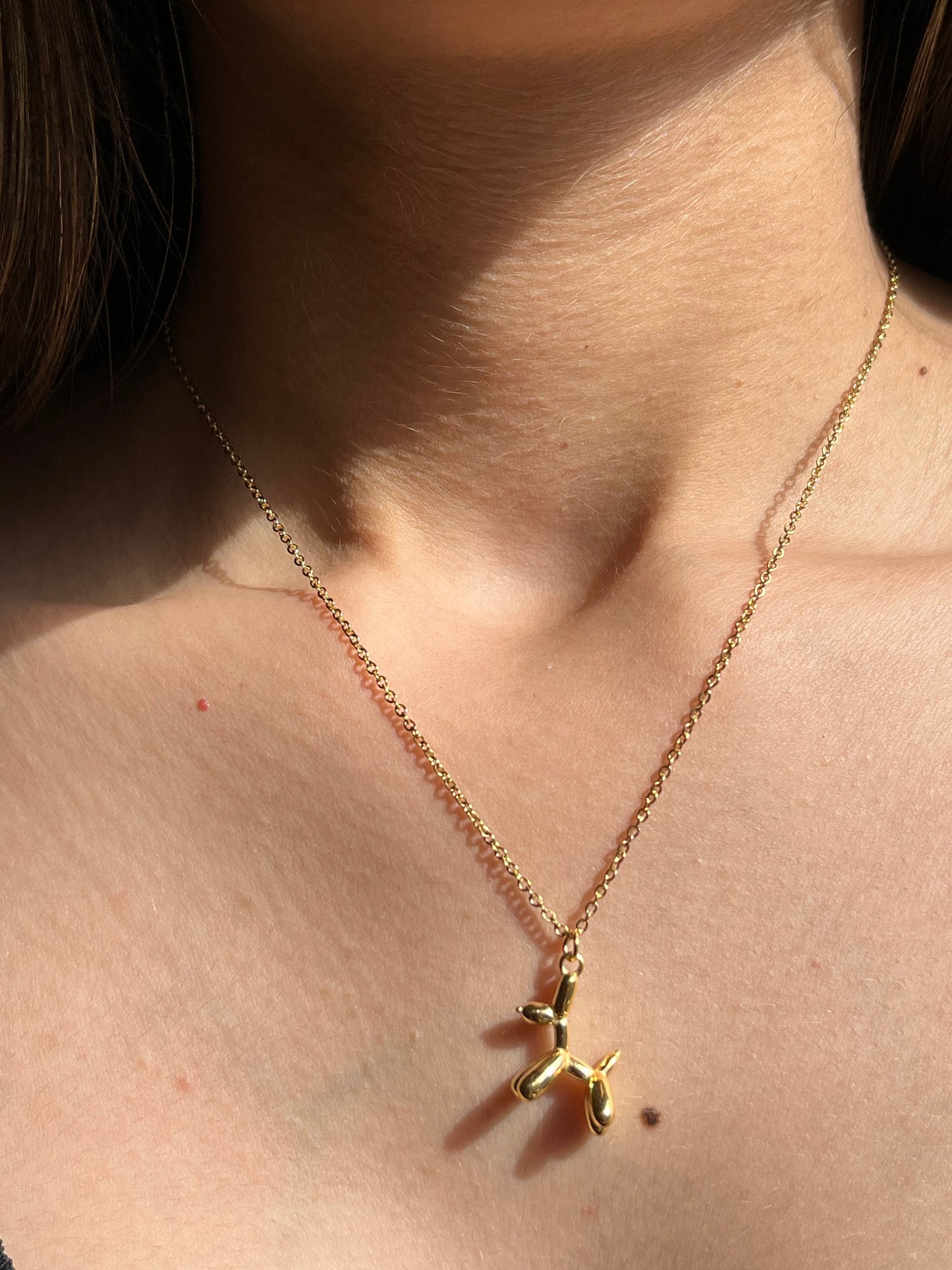 Dog Necklace