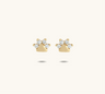 Dog Paw Stud