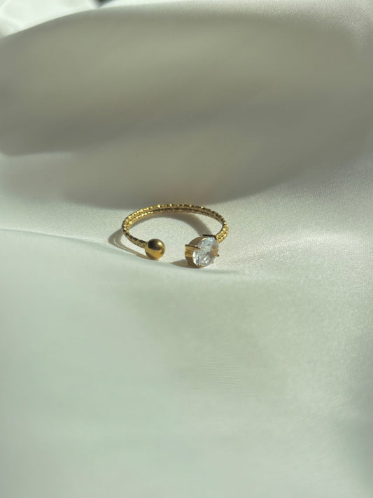 Earths Ring
