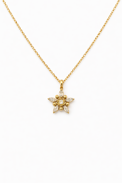 Liora Star Necklace