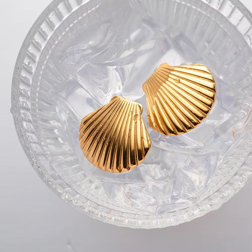 Shell Stud Earrings
